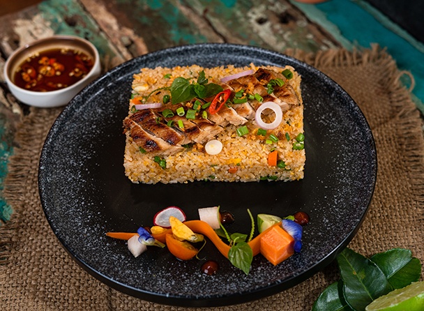food-dish